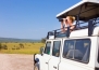 What accessories should you have on your next road trip?